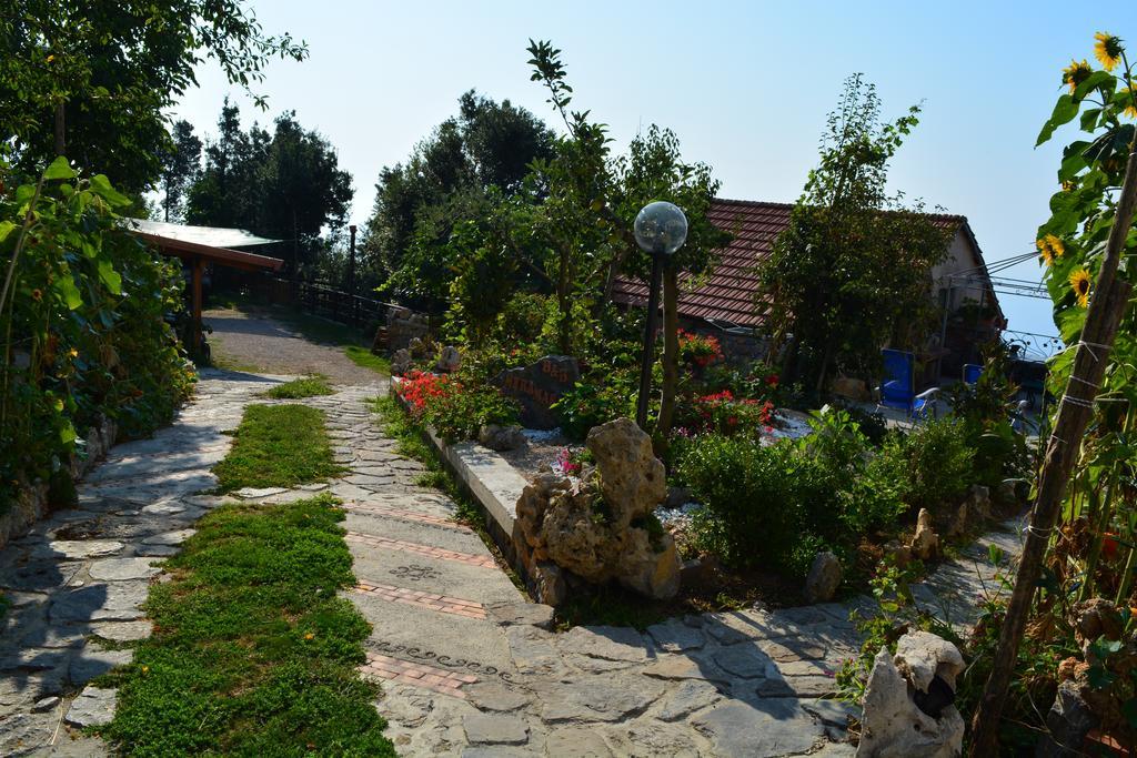 B&B Miramare อาเจโรลา ภายนอก รูปภาพ